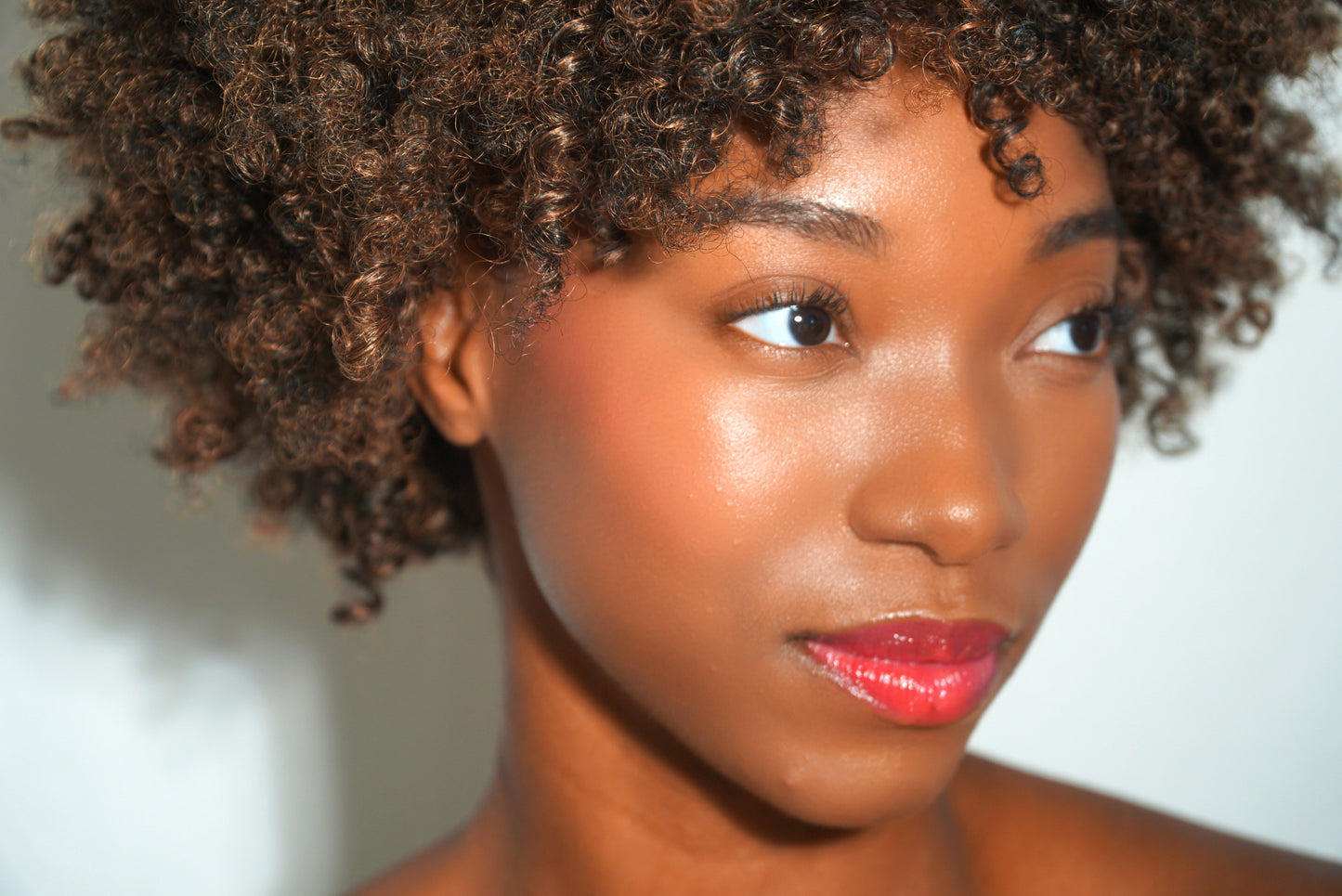 Blush Sticks – 5 Shades | Creamy Vibrant Color