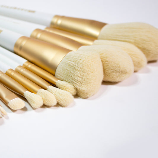 Back Stage Brush Set — Master Tools, Minimal Effort.